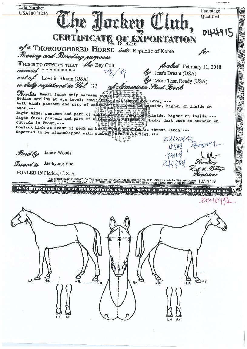 Á¦½ÃÀDzÞÀÇ Ãø¸é,¿ì¸é,µÞ¸é,µÎ»ó,´Ù¸®ÀÇ Æ¯Â¡µµÇØ