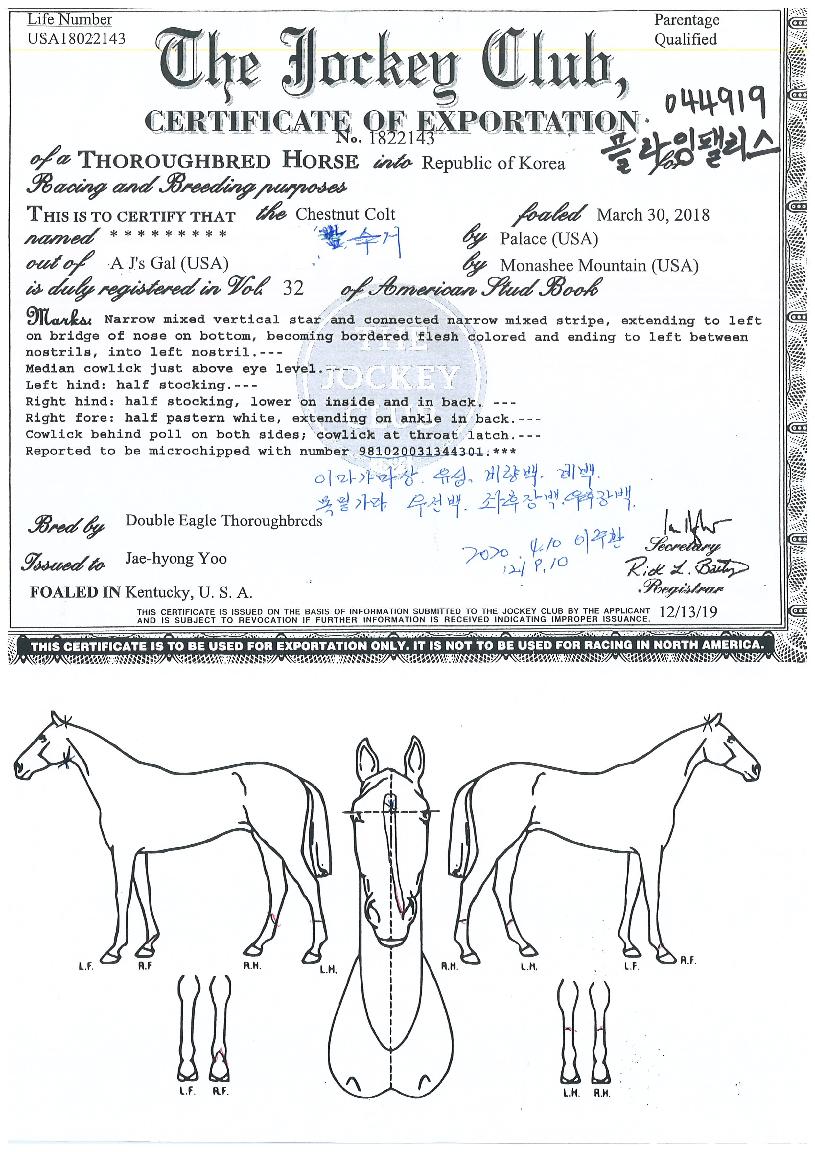 �ö����Ӹ����� ����,���,�޸�,�λ�,�ٸ��� Ư¡����