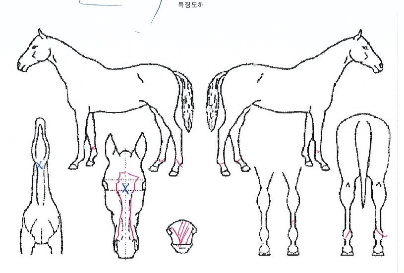 �۷ι���ȭ�� ����,���,�޸�,�λ�,�ٸ��� Ư¡����