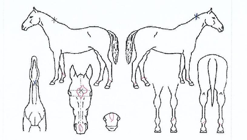 ���ũ�� ����,���,�޸�,�λ�,�ٸ��� Ư¡����