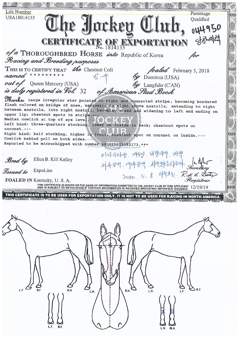 ���������� ����,���,�޸�,�λ�,�ٸ��� Ư¡����