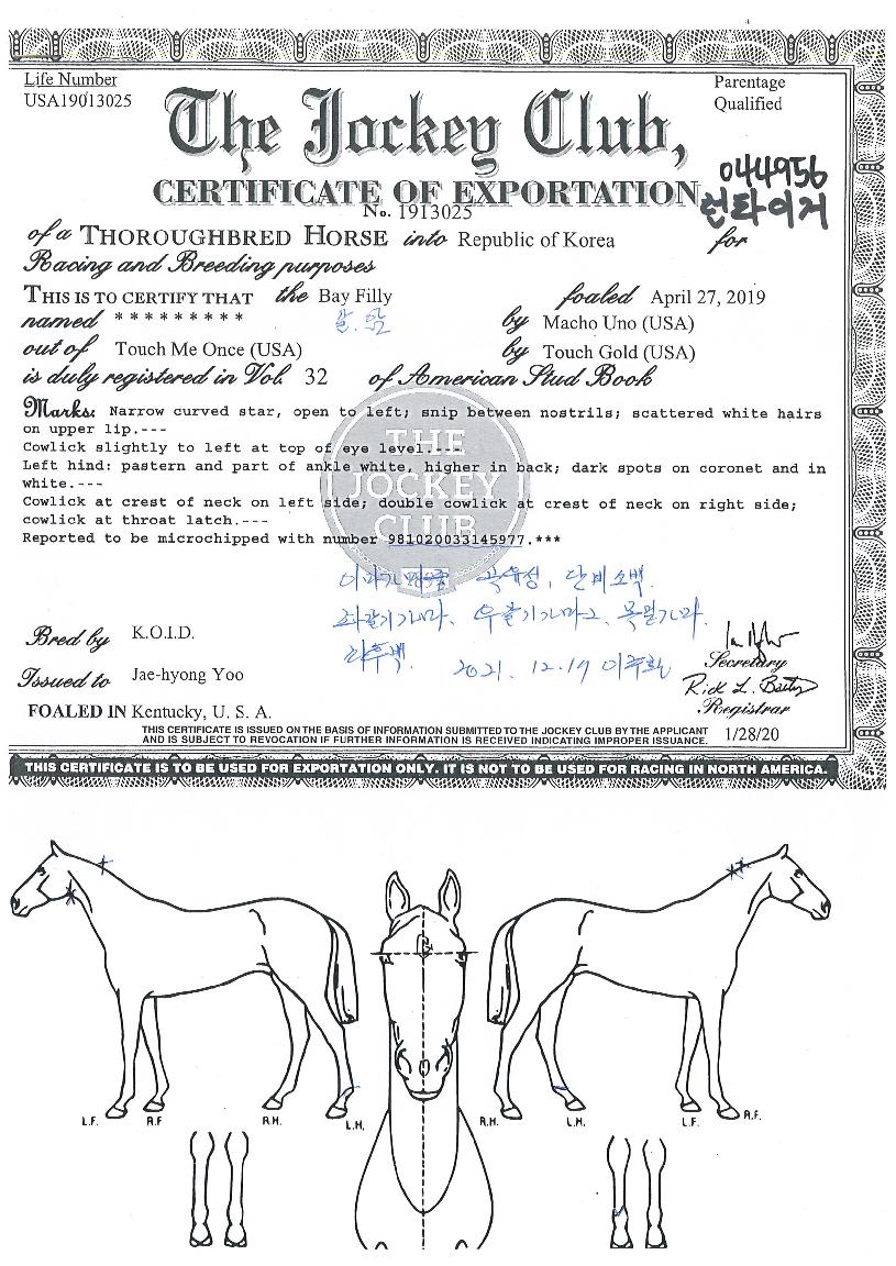 ��Ÿ�̰��� ����,���,�޸�,�λ�,�ٸ��� Ư¡����