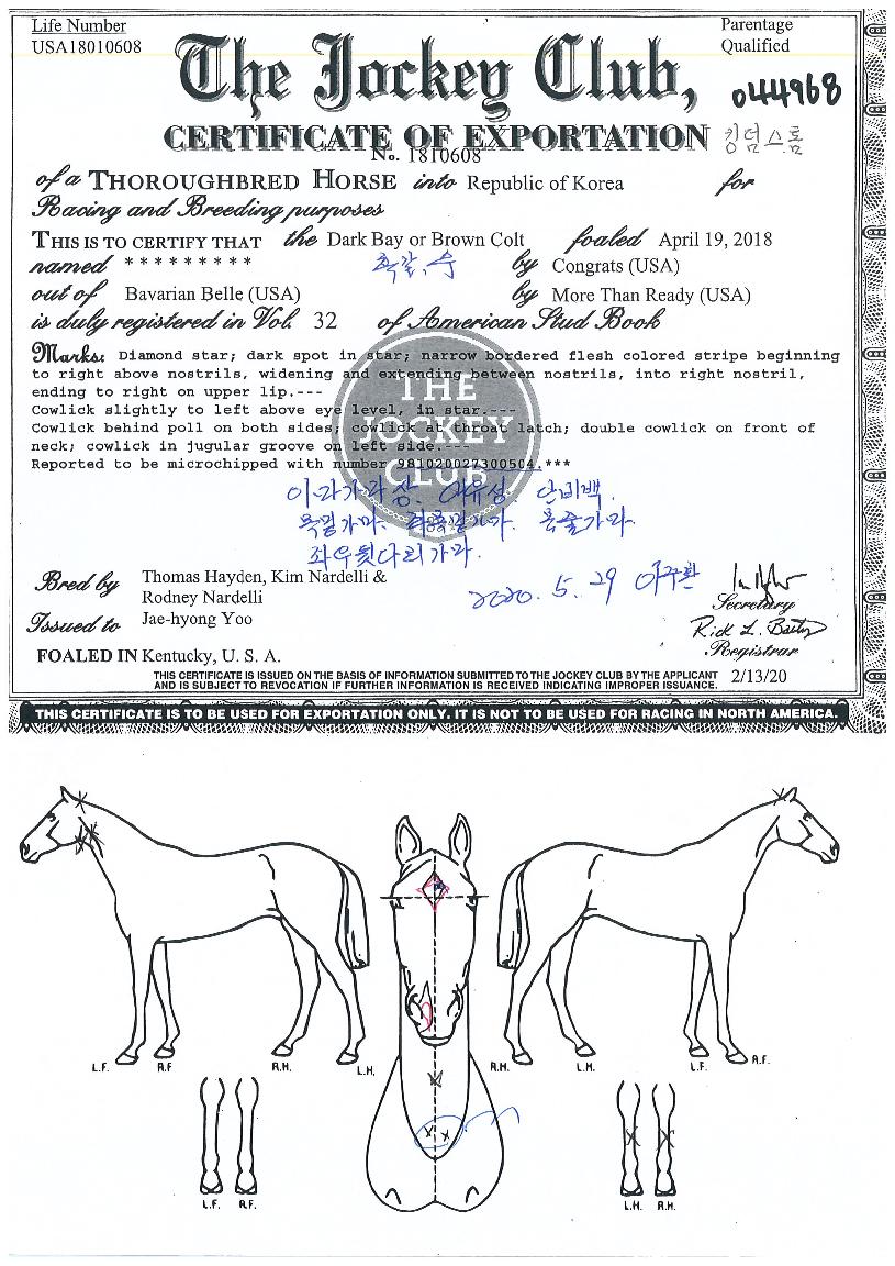 ŷ�������� ����,���,�޸�,�λ�,�ٸ��� Ư¡����