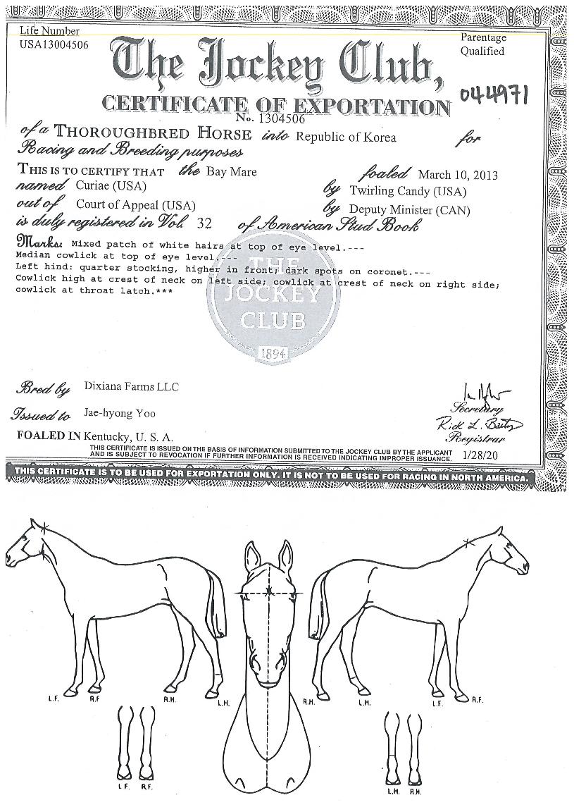 �������� ����,���,�޸�,�λ�,�ٸ��� Ư¡����