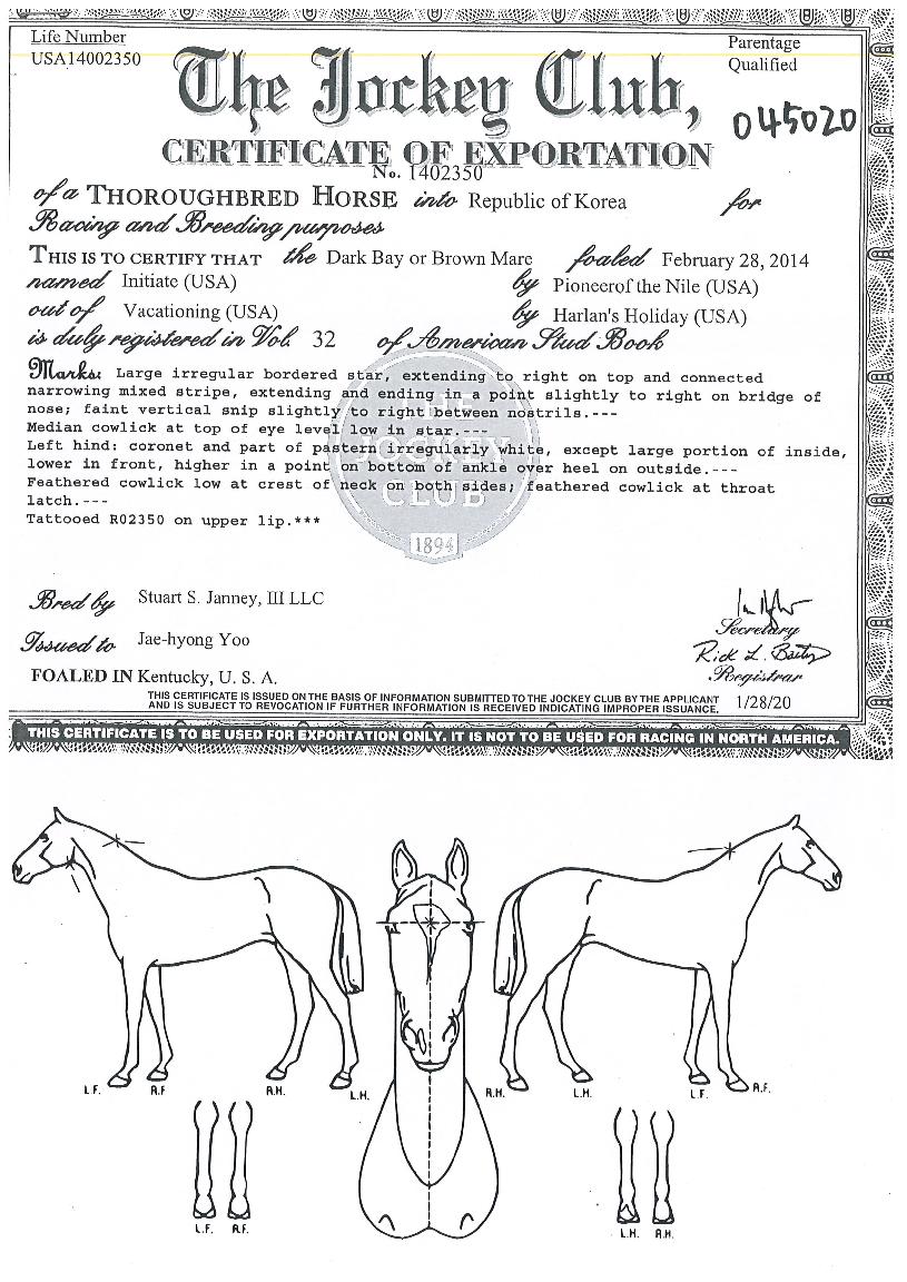 �̴Ͻ�����Ʈ�� ����,���,�޸�,�λ�,�ٸ��� Ư¡����