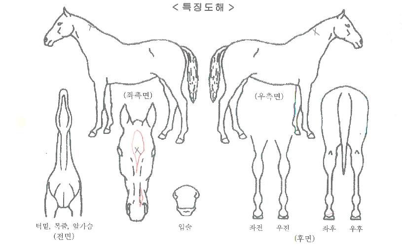 ¶ó¿Â´õÆÄÀÌÆÃÀÇ Ãø¸é,¿ì¸é,µÞ¸é,µÎ»ó,´Ù¸®ÀÇ Æ¯Â¡µµÇØ