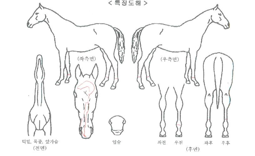 �̽��Ͱ��� ����,���,�޸�,�λ�,�ٸ��� Ư¡����