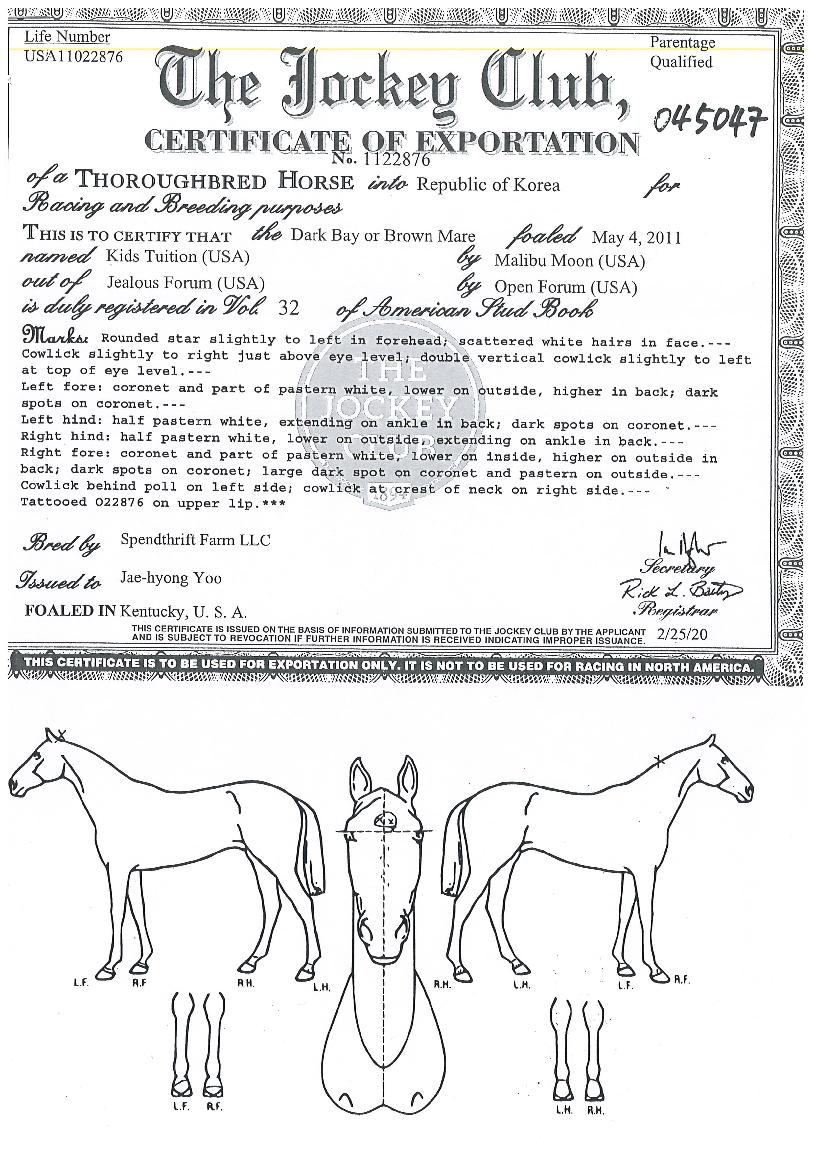 ŰÁîÆ©À̼ÇÀÇ Ãø¸é,¿ì¸é,µÞ¸é,µÎ»ó,´Ù¸®ÀÇ Æ¯Â¡µµÇØ