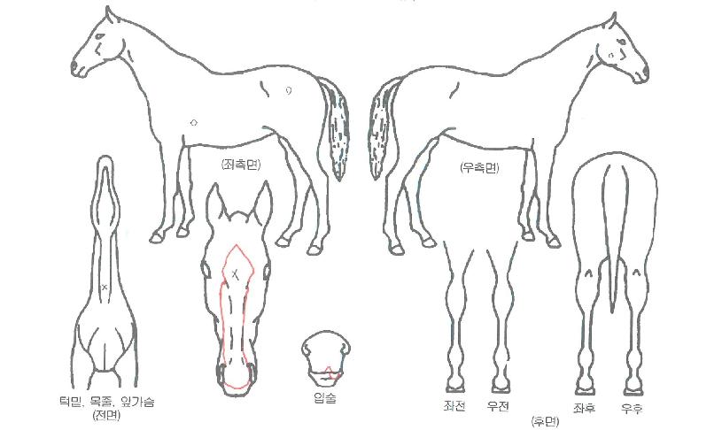 ��Ŭ������ ����,���,�޸�,�λ�,�ٸ��� Ư¡����