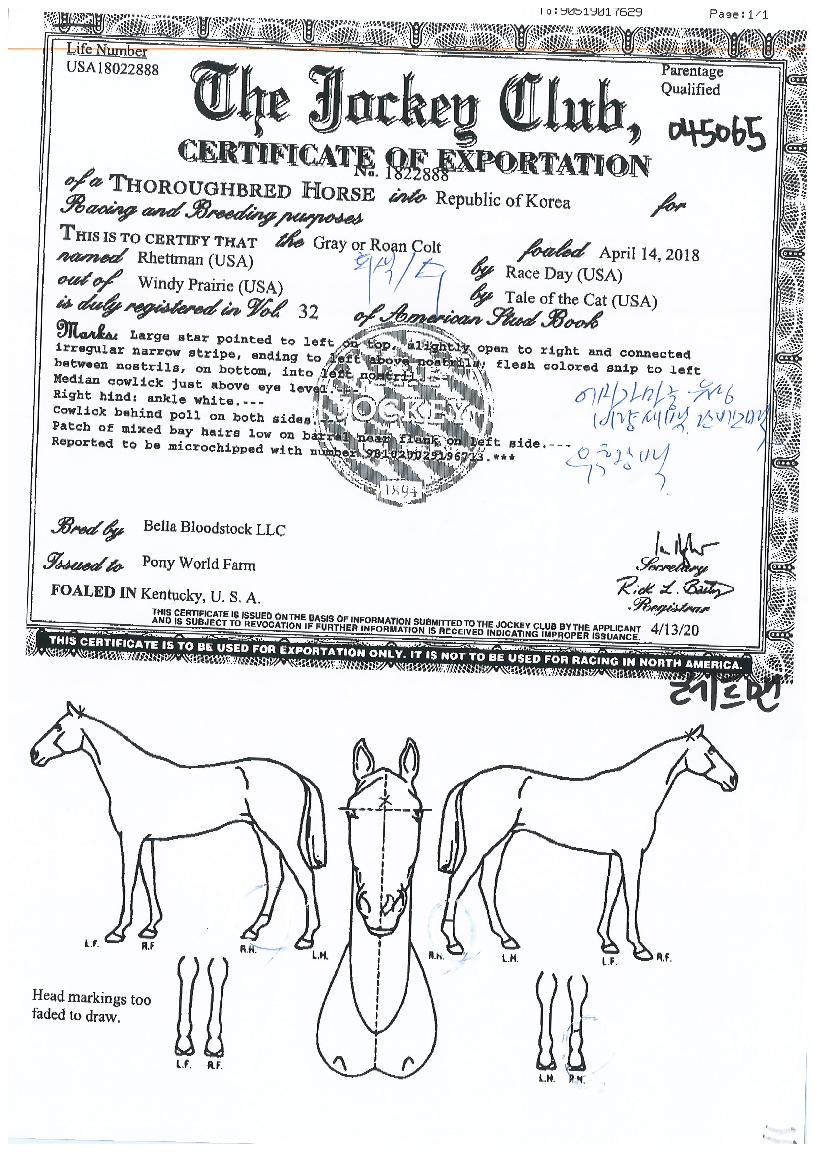 ¿¡À̽ºÅ³·¯ÀÇ Ãø¸é,¿ì¸é,µÞ¸é,µÎ»ó,´Ù¸®ÀÇ Æ¯Â¡µµÇØ