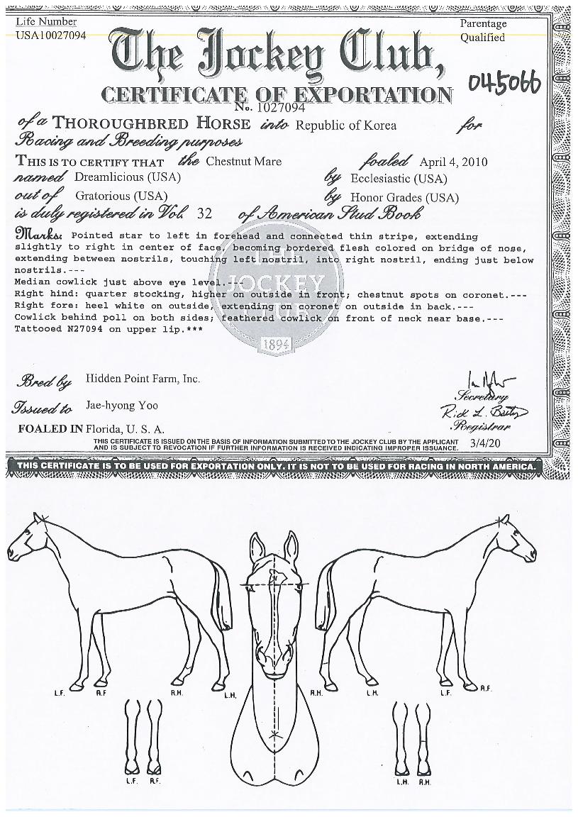 µå¸²¸®½Ã¾î½ºÀÇ Ãø¸é,¿ì¸é,µÞ¸é,µÎ»ó,´Ù¸®ÀÇ Æ¯Â¡µµÇØ