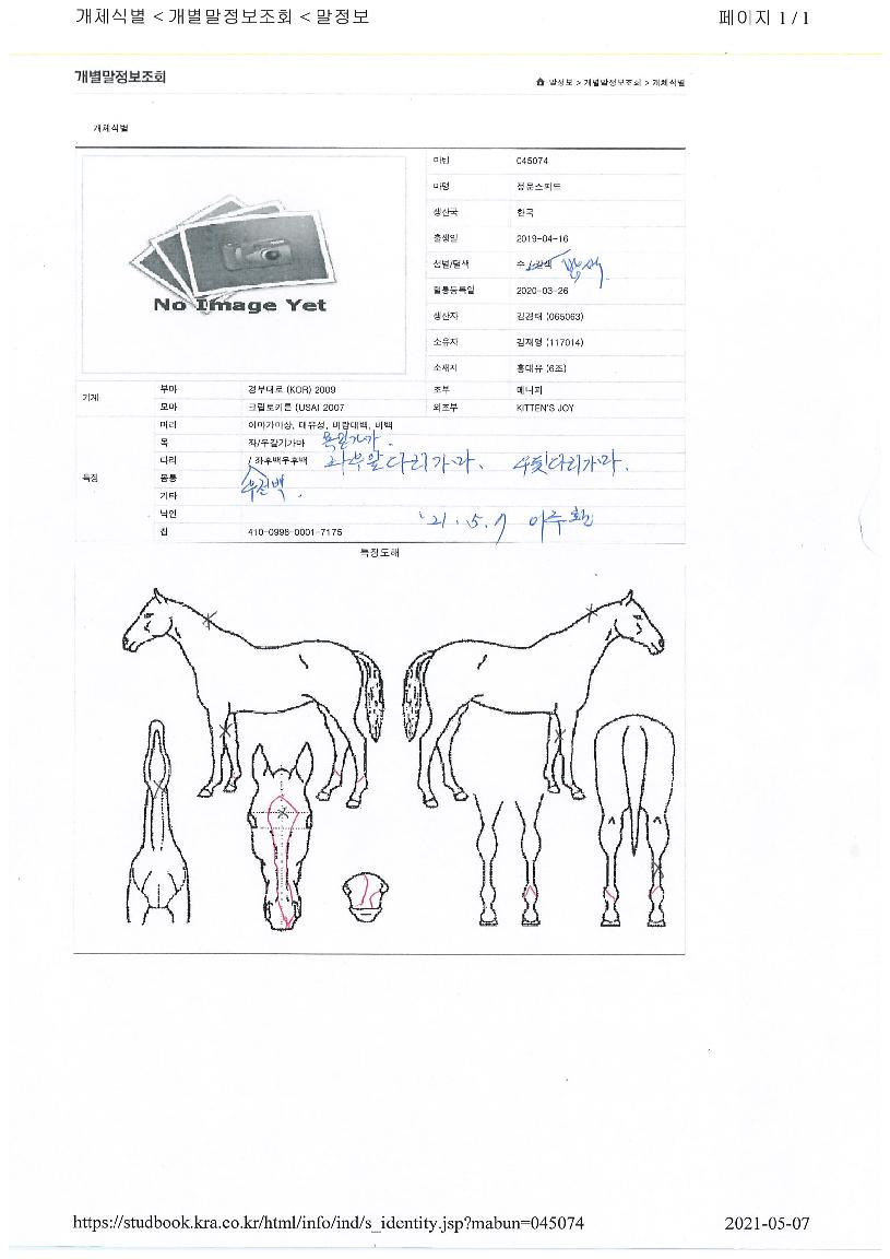 Á¤¹®½ºÇǵåÀÇ Ãø¸é,¿ì¸é,µÞ¸é,µÎ»ó,´Ù¸®ÀÇ Æ¯Â¡µµÇØ