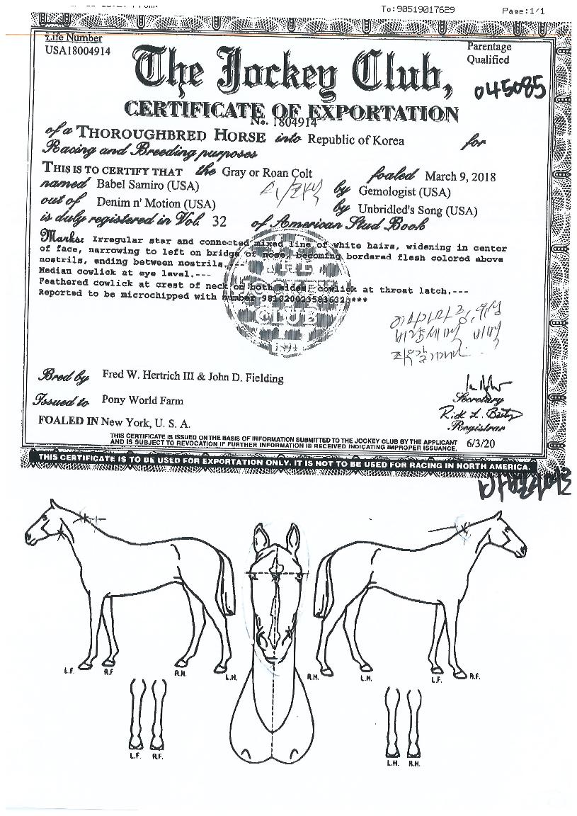 �ٺ���̷��� ����,���,�޸�,�λ�,�ٸ��� Ư¡����