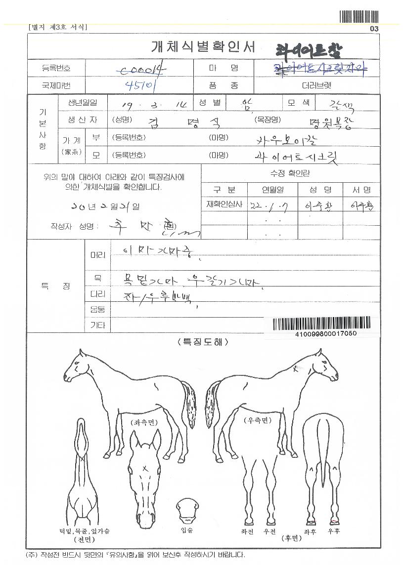 ���̾�Ʈ���� ����,���,�޸�,�λ�,�ٸ��� Ư¡����