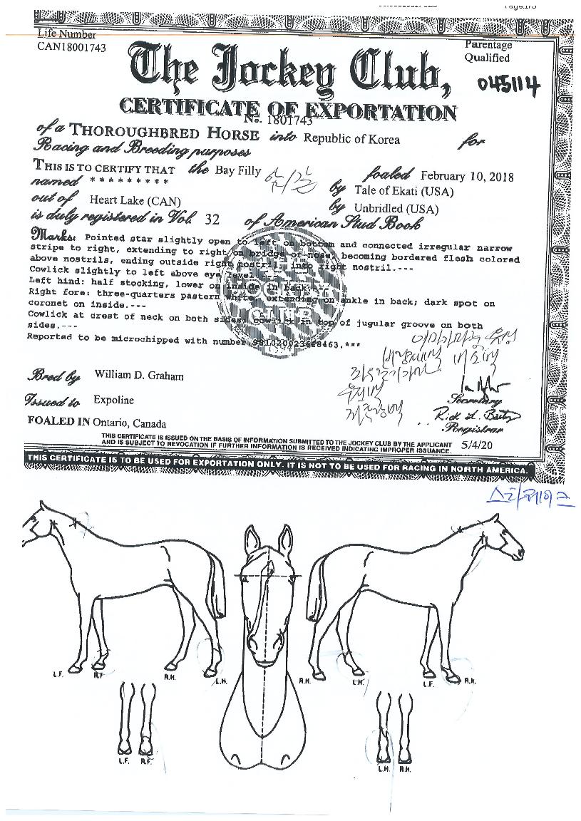 ½ºÅ¸·¹ÀÌÅ©ÀÇ Ãø¸é,¿ì¸é,µÞ¸é,µÎ»ó,´Ù¸®ÀÇ Æ¯Â¡µµÇØ