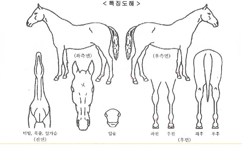 ���������� ����,���,�޸�,�λ�,�ٸ��� Ư¡����