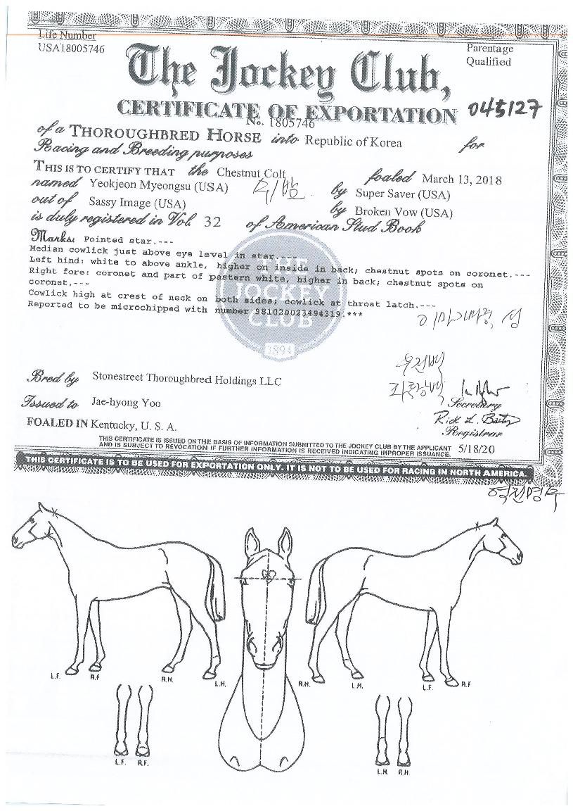 ¿ªÀü¸í¼öÀÇ Ãø¸é,¿ì¸é,µÞ¸é,µÎ»ó,´Ù¸®ÀÇ Æ¯Â¡µµÇØ