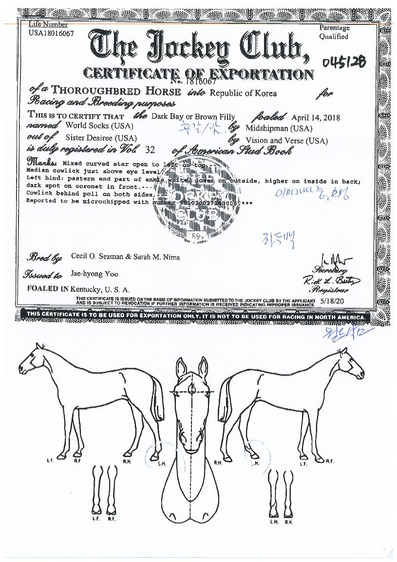 ¿ùµå»è½ºÀÇ Ãø¸é,¿ì¸é,µÞ¸é,µÎ»ó,´Ù¸®ÀÇ Æ¯Â¡µµÇØ