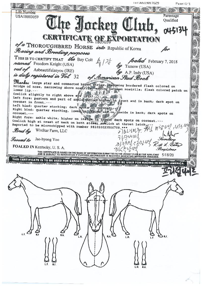 ÇÁ¸®´ý³ªÀÌÆ®ÀÇ Ãø¸é,¿ì¸é,µÞ¸é,µÎ»ó,´Ù¸®ÀÇ Æ¯Â¡µµÇØ