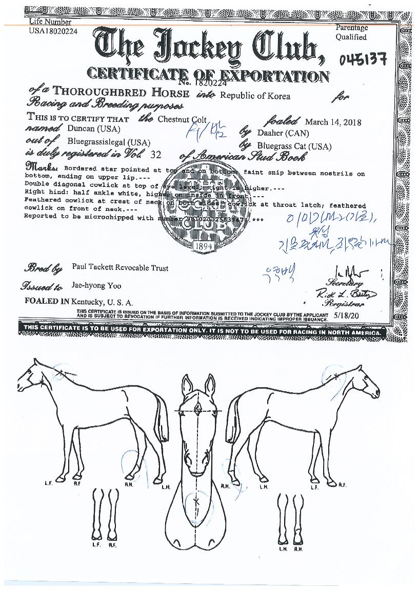 ������ ����,���,�޸�,�λ�,�ٸ��� Ư¡����