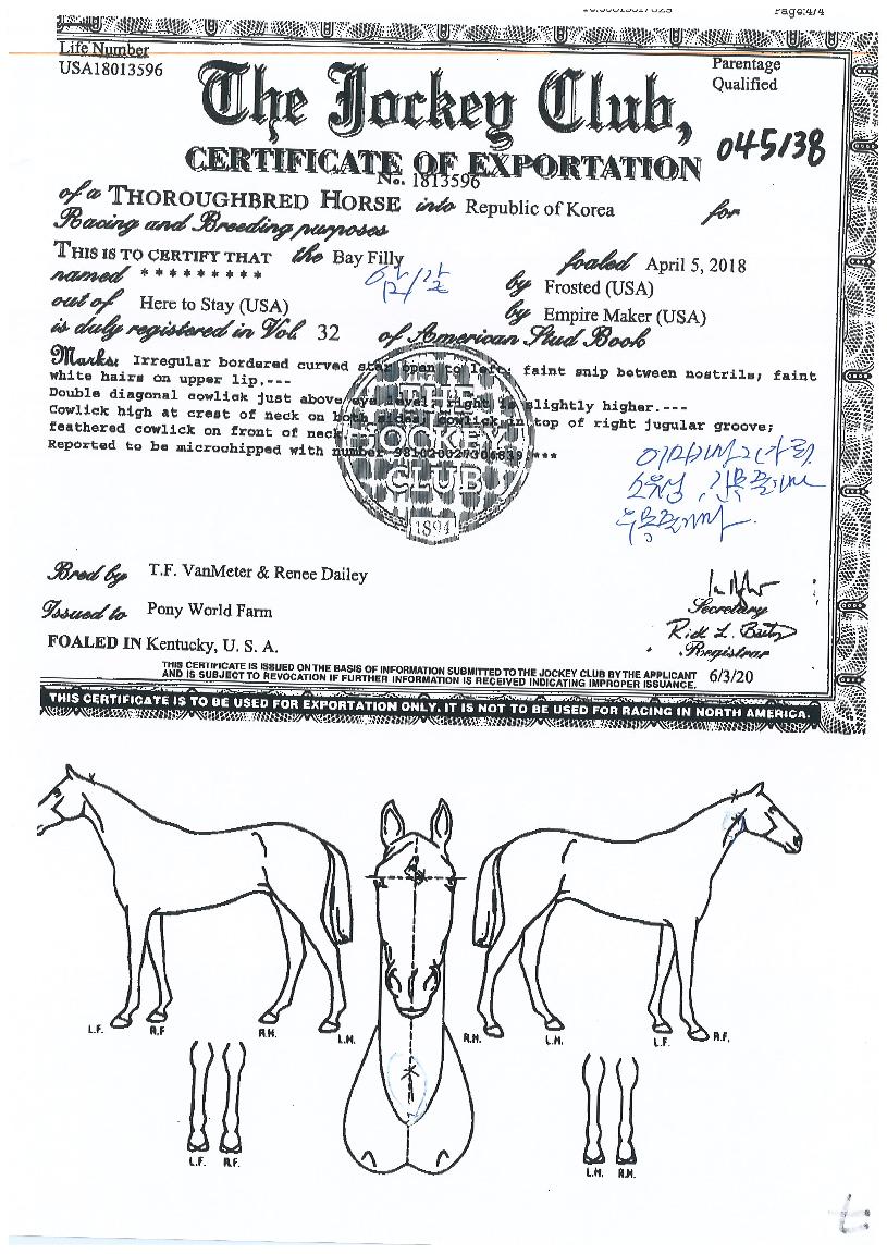 ·¹Àκ¸¿ìÄÎÆ®ÀÇ Ãø¸é,¿ì¸é,µÞ¸é,µÎ»ó,´Ù¸®ÀÇ Æ¯Â¡µµÇØ