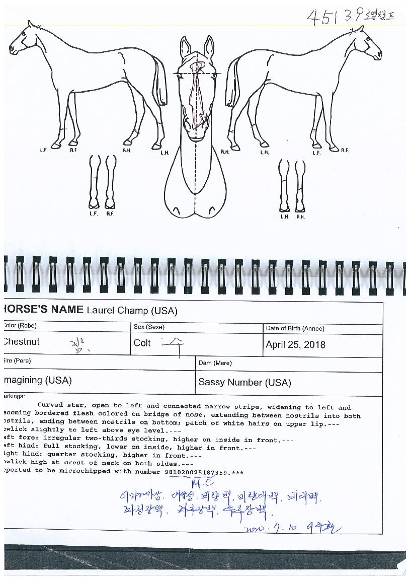 ·Î·¼Ã¨ÇÁÀÇ Ãø¸é,¿ì¸é,µÞ¸é,µÎ»ó,´Ù¸®ÀÇ Æ¯Â¡µµÇØ