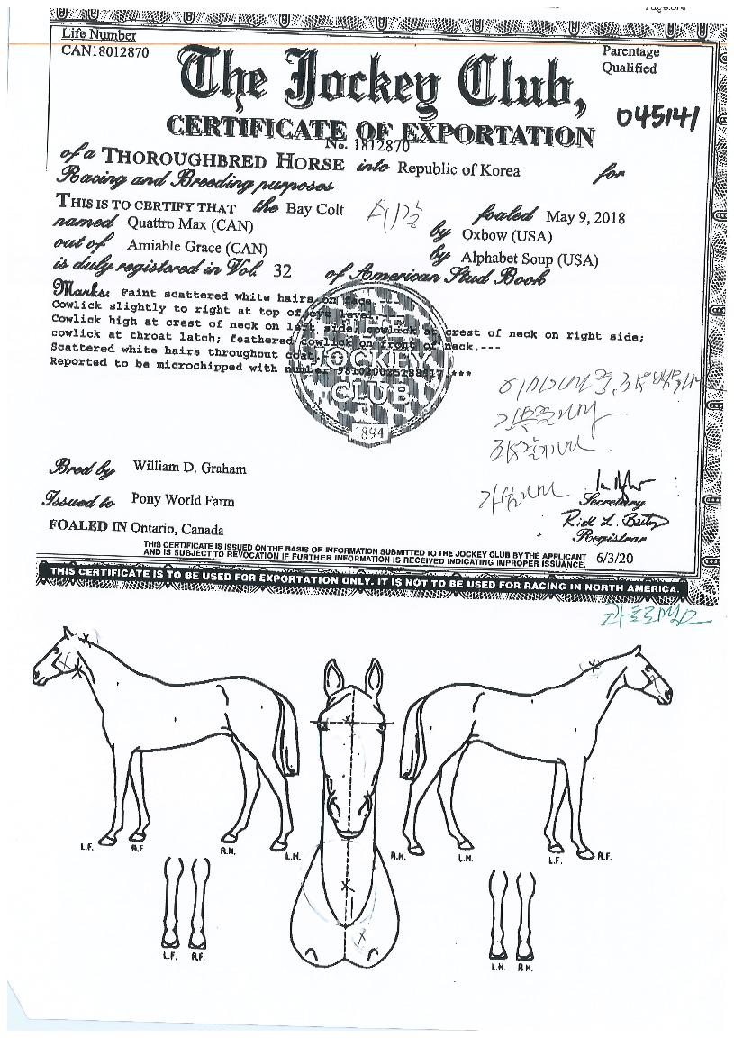 ÄâÆ®·Î¸Æ½ºÀÇ Ãø¸é,¿ì¸é,µÞ¸é,µÎ»ó,´Ù¸®ÀÇ Æ¯Â¡µµÇØ