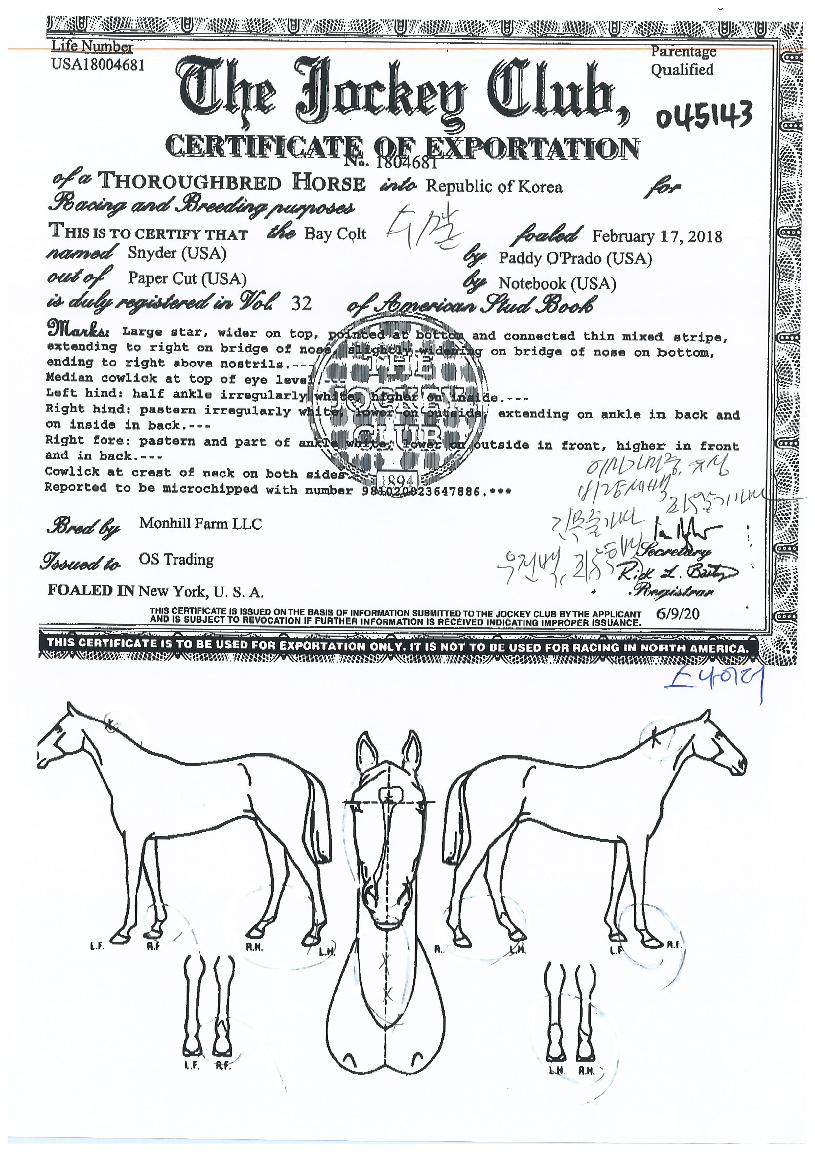 �����̴��� ����,���,�޸�,�λ�,�ٸ��� Ư¡����