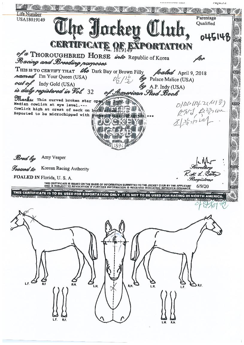 ¾ÆÀÓÀ¯¾îÄýÀÇ Ãø¸é,¿ì¸é,µÞ¸é,µÎ»ó,´Ù¸®ÀÇ Æ¯Â¡µµÇØ