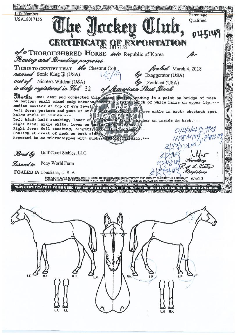 ¼Ò´ÐÅ·ÀÌÁöÀÇ Ãø¸é,¿ì¸é,µÞ¸é,µÎ»ó,´Ù¸®ÀÇ Æ¯Â¡µµÇØ