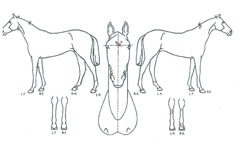 �ʵ�������� ����,���,�޸�,�λ�,�ٸ��� Ư¡����