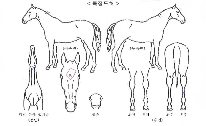 �������� ����,���,�޸�,�λ�,�ٸ��� Ư¡����