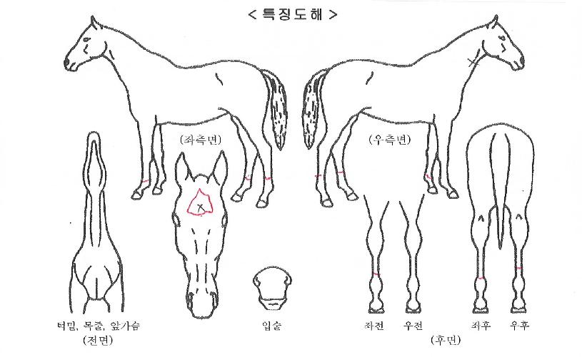 ������������� ����,���,�޸�,�λ�,�ٸ��� Ư¡����