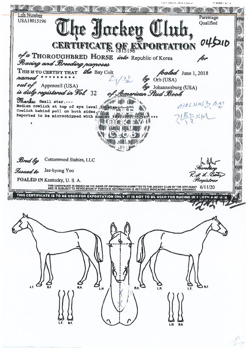 �����ÿ����� ����,���,�޸�,�λ�,�ٸ��� Ư¡����