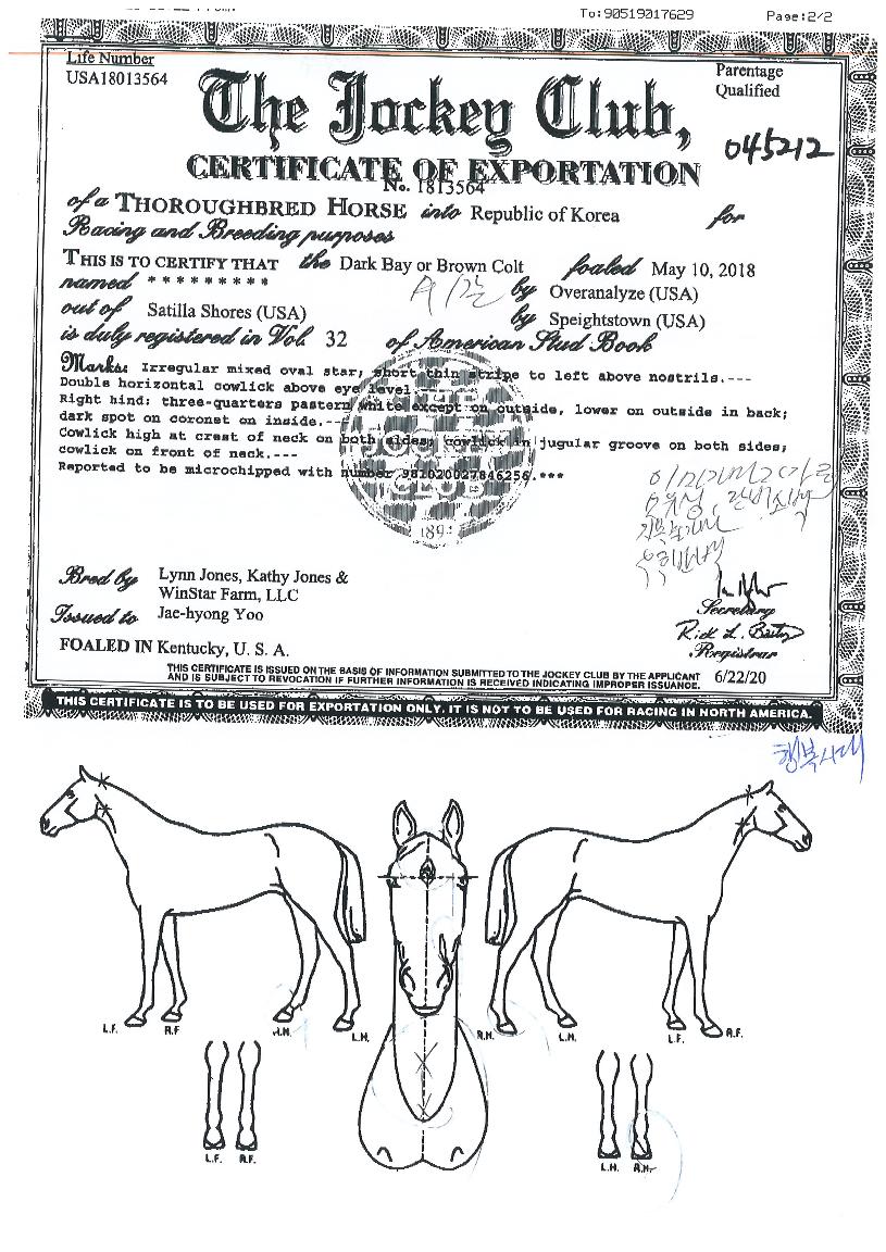 �ູ�ô��� ����,���,�޸�,�λ�,�ٸ��� Ư¡����