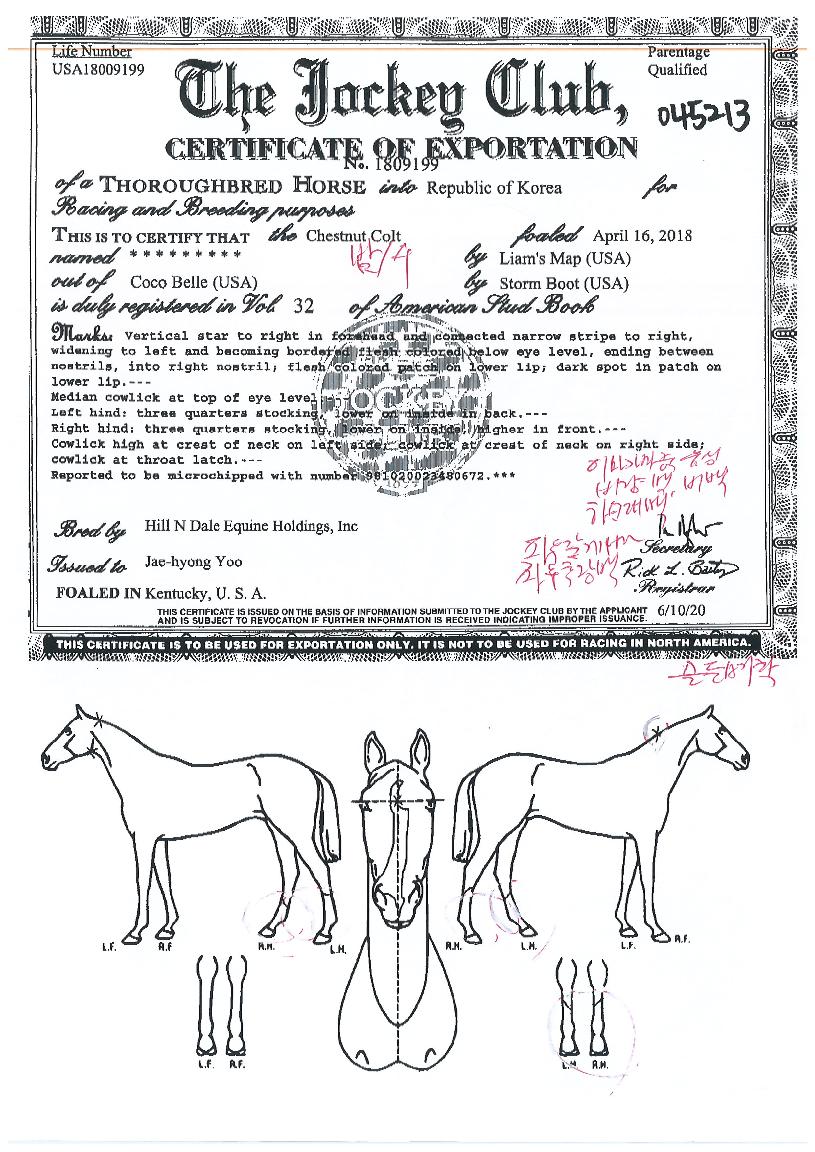 °ñµçº¶ôÀÇ Ãø¸é,¿ì¸é,µÞ¸é,µÎ»ó,´Ù¸®ÀÇ Æ¯Â¡µµÇØ