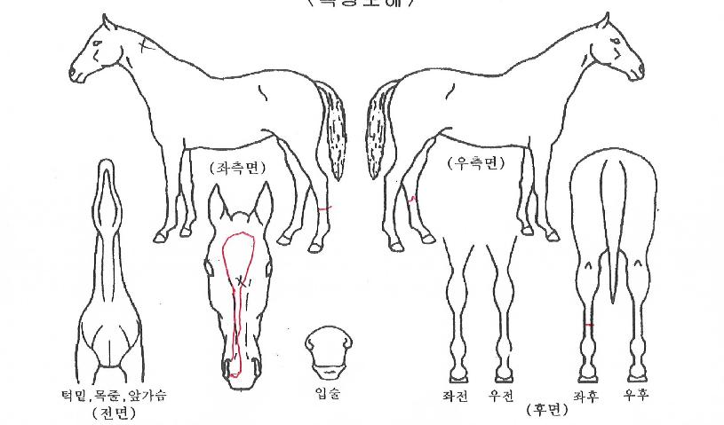 �������� ����,���,�޸�,�λ�,�ٸ��� Ư¡����