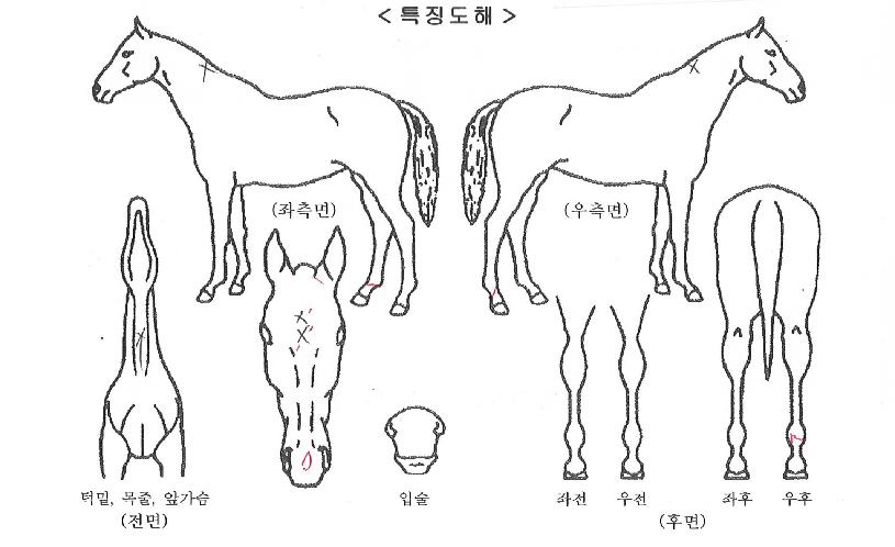 ������Ŭ������ ����,���,�޸�,�λ�,�ٸ��� Ư¡����