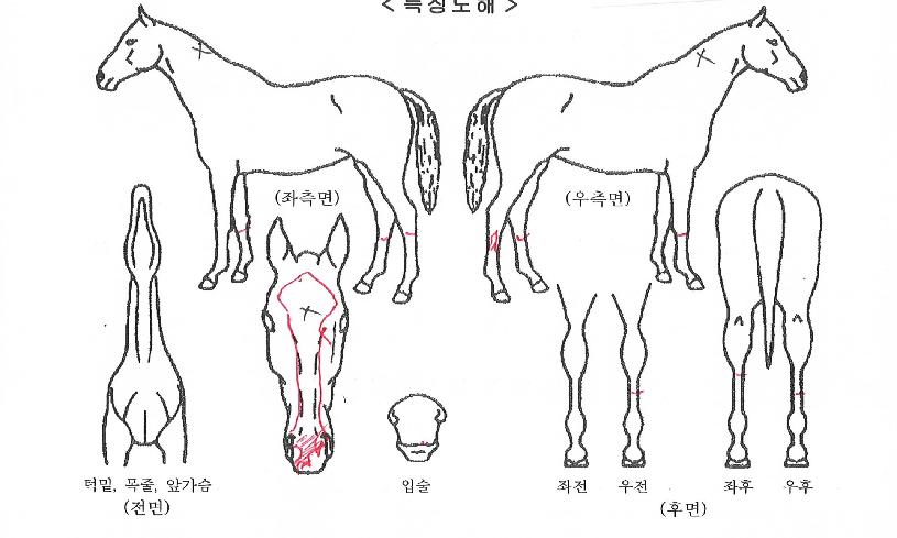 ������Ʈ������ ����,���,�޸�,�λ�,�ٸ��� Ư¡����