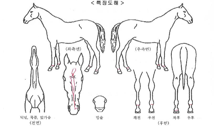 �̽��������ڸ��� ����,���,�޸�,�λ�,�ٸ��� Ư¡����