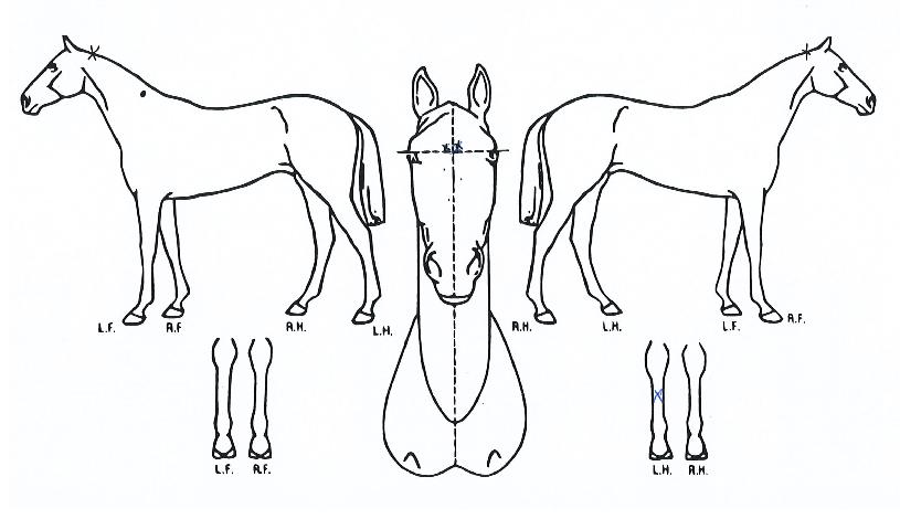 ���͹��� ����,���,�޸�,�λ�,�ٸ��� Ư¡����