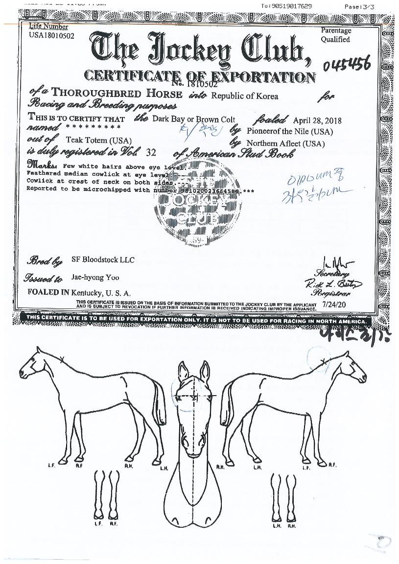 ���̽��ְ��� ����,���,�޸�,�λ�,�ٸ��� Ư¡����