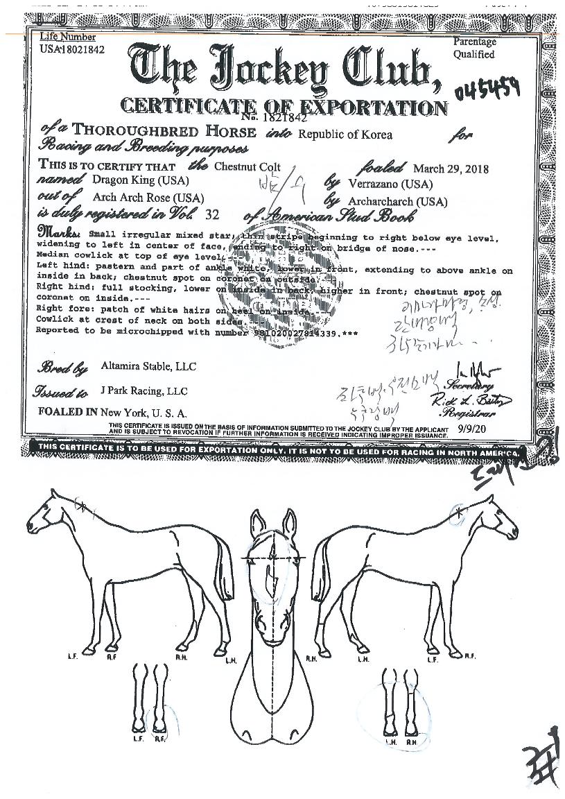 �巡��ŷ�� ����,���,�޸�,�λ�,�ٸ��� Ư¡����