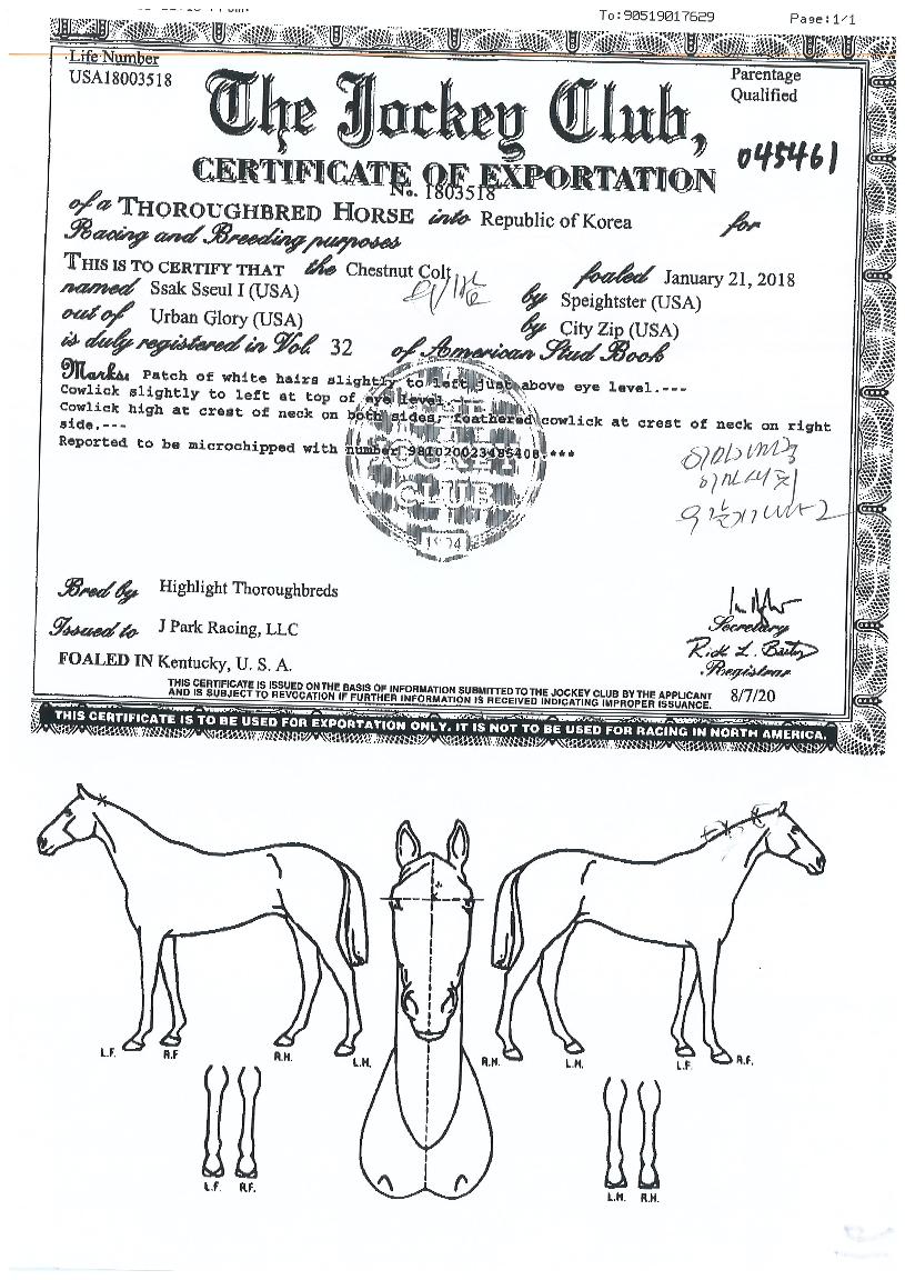 ¹Ì½ºÅͽϾ²¸®ÀÇ Ãø¸é,¿ì¸é,µÞ¸é,µÎ»ó,´Ù¸®ÀÇ Æ¯Â¡µµÇØ