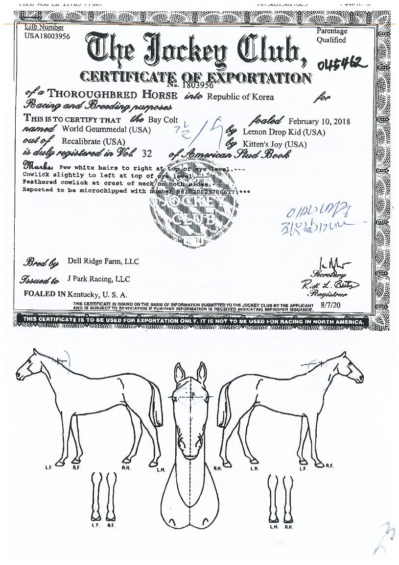 ����ݸ޴��� ����,���,�޸�,�λ�,�ٸ��� Ư¡����