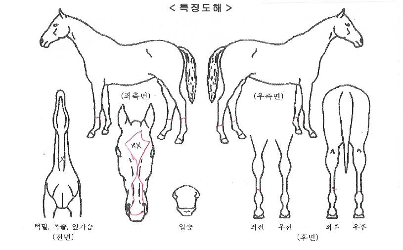 ���κ��켱�ڸ��� ����,���,�޸�,�λ�,�ٸ��� Ư¡����