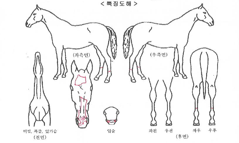 ��������ġ�� ����,���,�޸�,�λ�,�ٸ��� Ư¡����