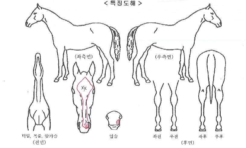 ����Ƽ�Ĵ��� ����,���,�޸�,�λ�,�ٸ��� Ư¡����