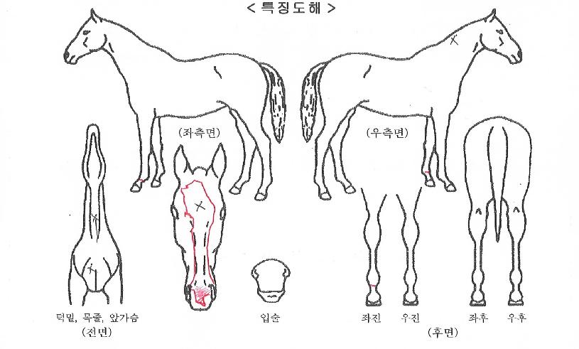 ��������ƾ�� ����,���,�޸�,�λ�,�ٸ��� Ư¡����