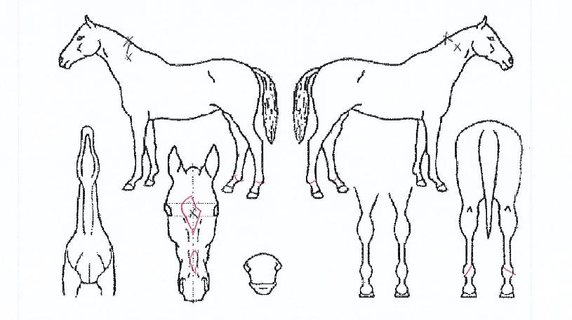 �������� ����,���,�޸�,�λ�,�ٸ��� Ư¡����